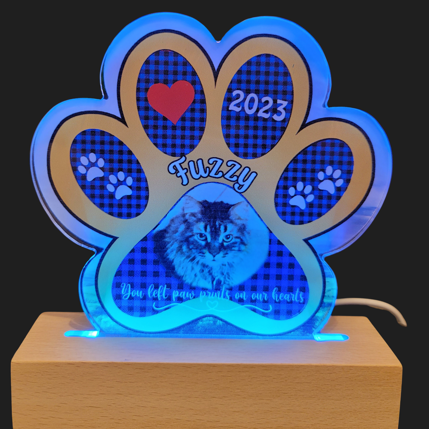 Paw Print Acrylic Plaque with Wooden Base