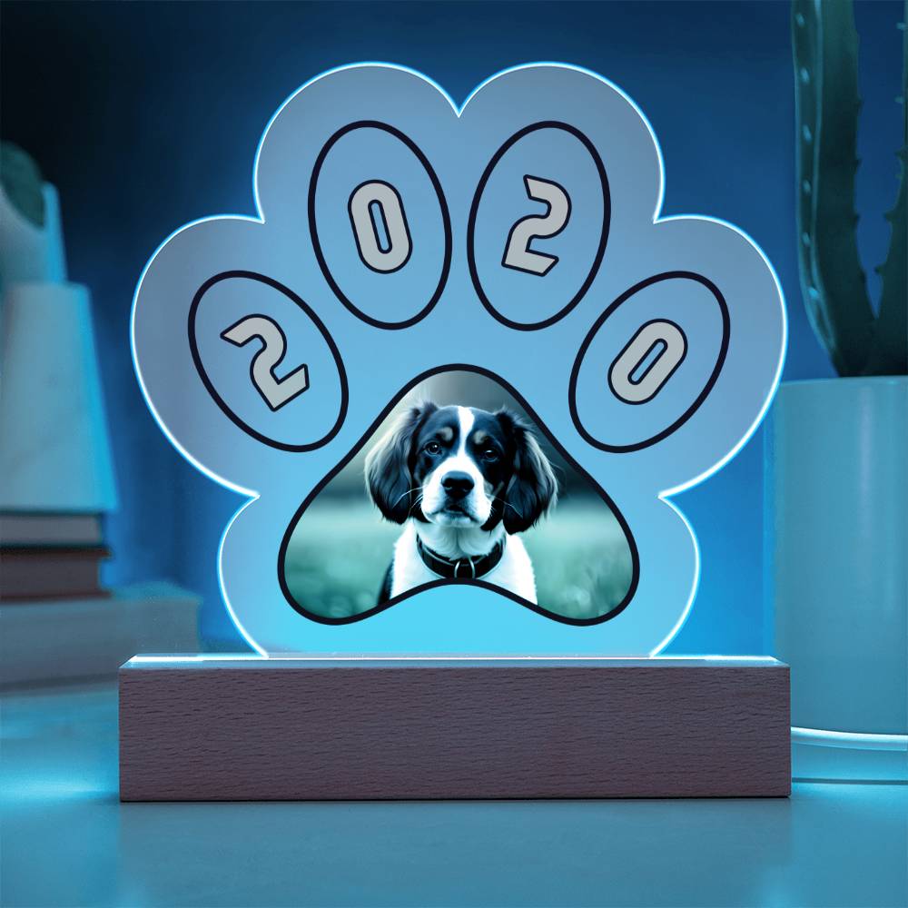 Paw Print Acrylic Plaque with Wooden Base